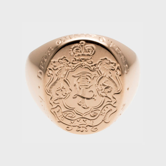 Siegelring Wappen Löwe -  Unikate -  RINGKING Max Grün - Goldschmied aus Leidenschaft